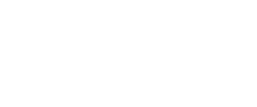 Brink Software wordt onderdeel van Aceve