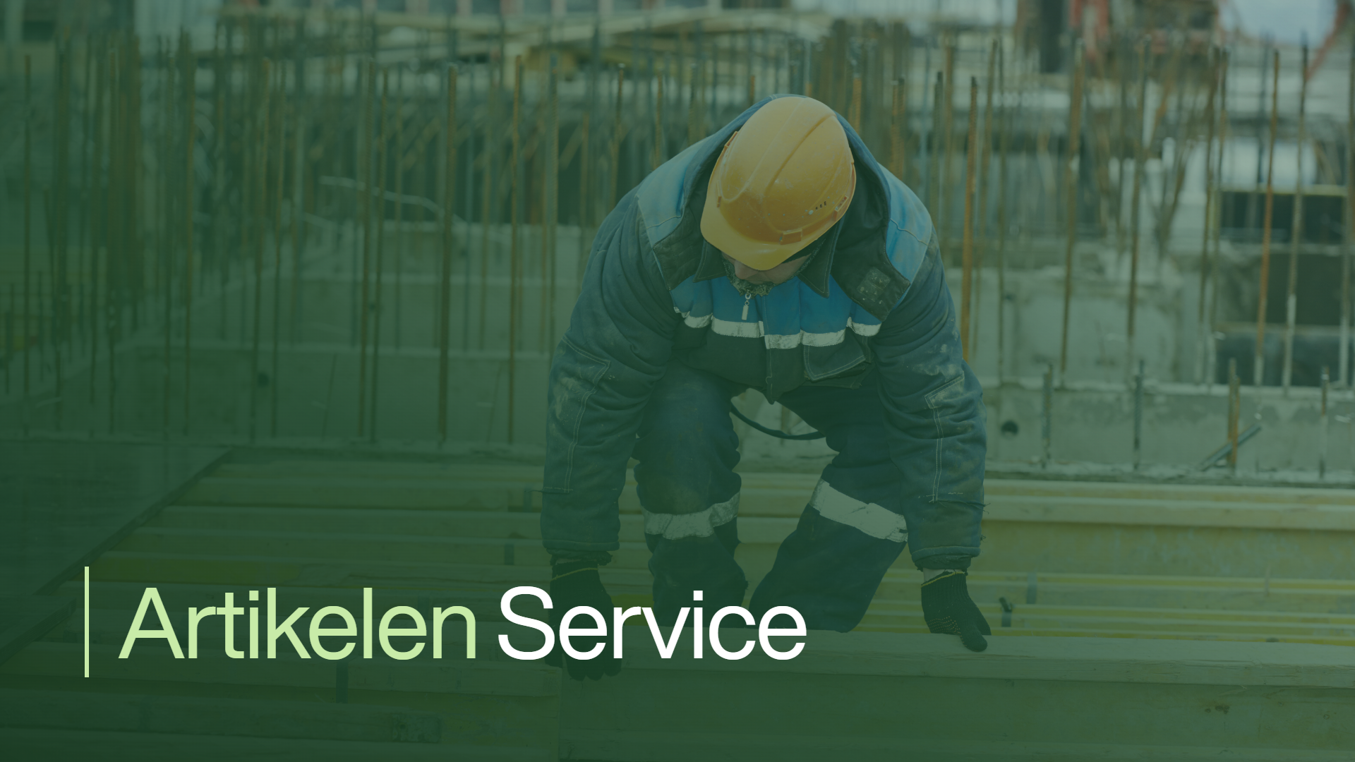 Ibis Artikelen Service Zonder Play